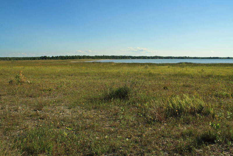 the view of duncan bay from our campsite